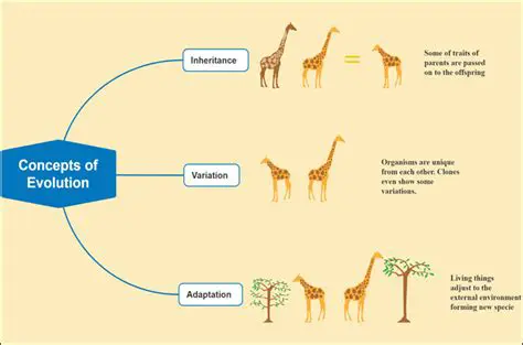 Understanding the Concept of Adaptation and Speciation