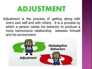 Understanding the Concept of Adjustment