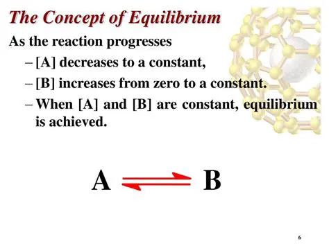 Understanding the Concept of Equilibrium