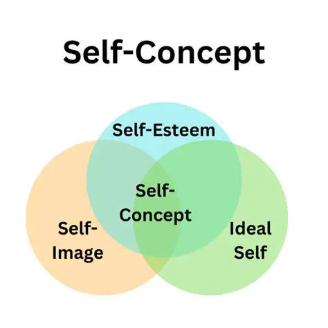 Understanding the Concept of One Solution