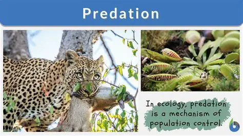 Understanding the Concept of Predation in Biology