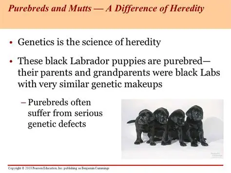 Understanding the Concept of Purebred in Genetics