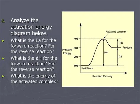 Understanding the Concept of Reverse Reaction