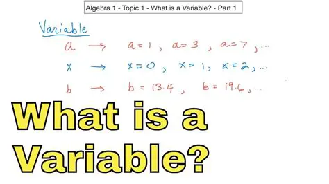 Understanding the Concept of Variables in Algebra