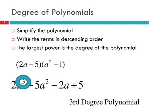 Understanding the Degree of a Polynomial