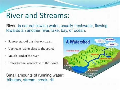 Understanding the Difference Between a Stream and a River