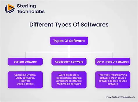 Understanding the Different Types of Software