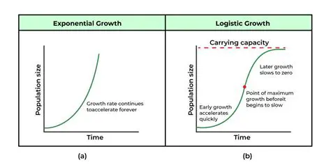 Understanding the Equation of Growth