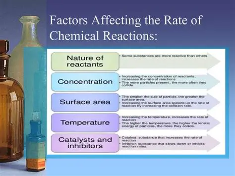 Understanding the Factors that Influence Chemical Reaction Rates