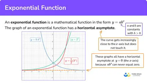 Understanding the Function and Its Properties