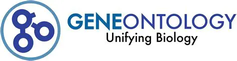 Understanding the Gene Ontology Project