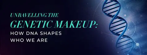 Understanding the Genetic Makeup of a Single Skin Cell