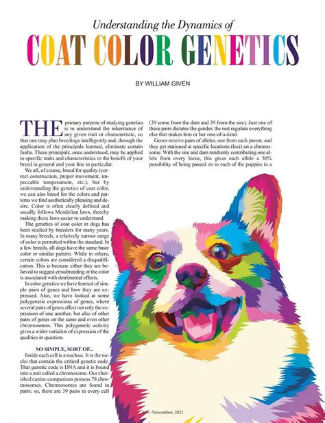 Understanding the Genetics of Coat Color
