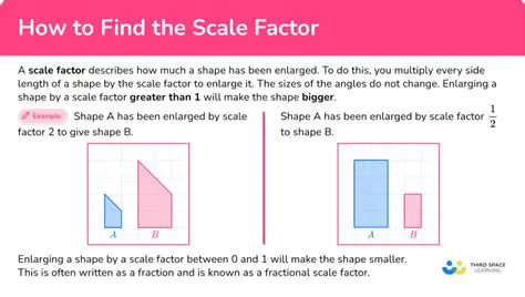 Understanding the Given Scale