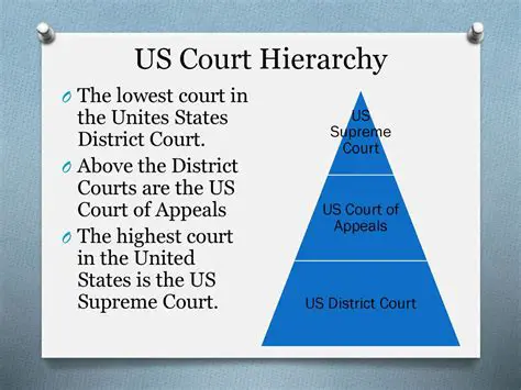 Understanding the Hierarchy of Courts in the United States