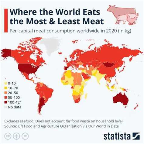 Understanding the Impact of Beef Consumption