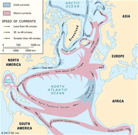 Understanding the Impact of Cold Ocean Currents on Coastal Areas