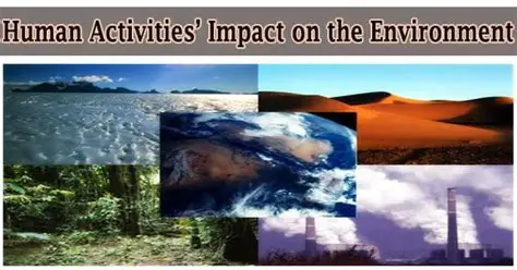 Understanding the Impact of Human Activities on the Environment