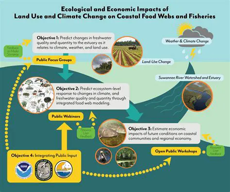 Understanding the Impact of Land Use Changes on Flood Discharge