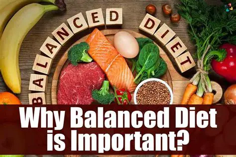 Understanding the Importance of a Balanced Diet
