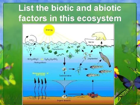 Understanding the Importance of Abiotic Factors in Food Chains