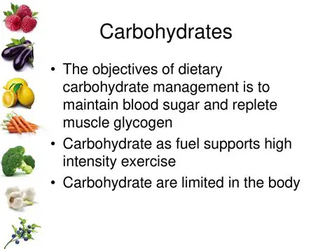Understanding the Importance of Carbohydrate Management