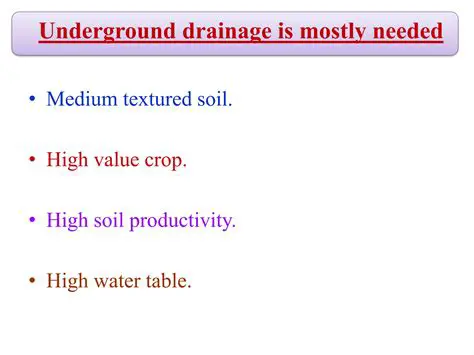 Understanding the Importance of Drainage Modulus Value in Irrigated Paddy Fields
