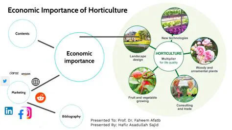 Understanding the Importance of Horticultural Commodity Traders in Traditional Markets
