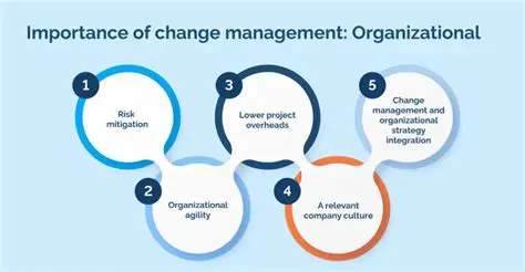 Understanding the Importance of Organizational Aids