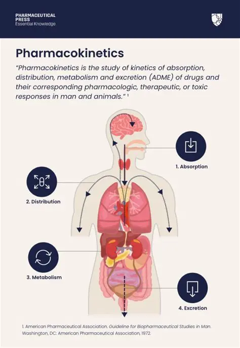 Understanding the Importance of Pharmacokinetic Parameters and Toxicity
