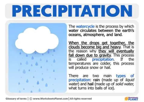 Understanding the Importance of Precipitation