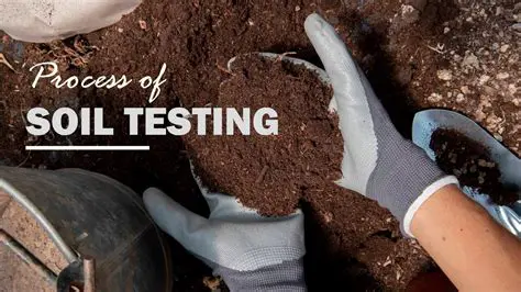 Understanding the Importance of Soil Testing