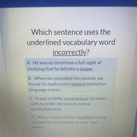 Understanding the Importance of Underlined Sentences