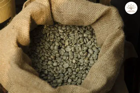 Understanding the Importance of Wholesale Coffee Beans