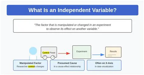 Understanding the Independent Variable