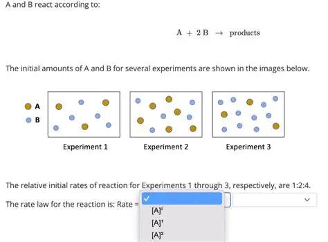 Understanding the Initial Amounts
