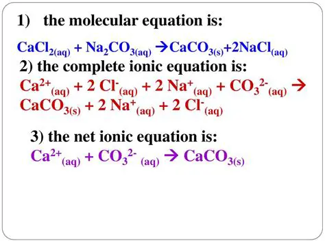 Understanding the Ionic Equation