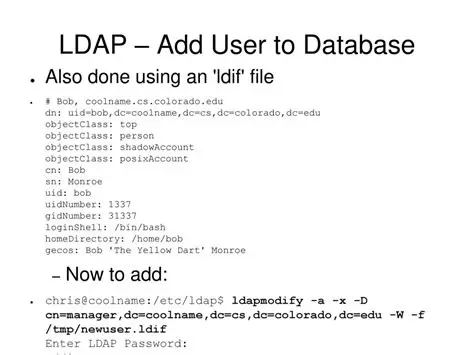 Understanding the ldapmodify command