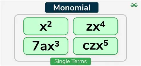 Understanding the Monomial