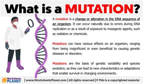 Understanding the Mutation Compactor