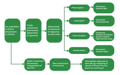 Understanding the Need for a Wrapper