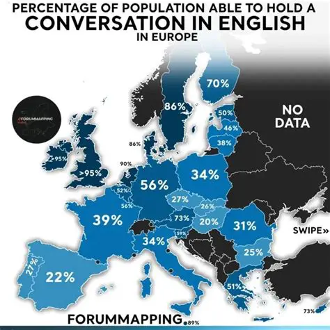 Understanding the Needs of English Speakers in Italy