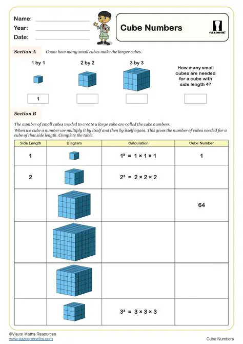Understanding the Number Cube