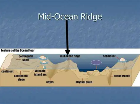 Understanding the Ocean Floor