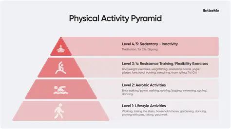 Understanding the Physical Activity Pyramid
