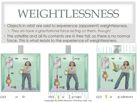Understanding the Physics Behind Weightlessness