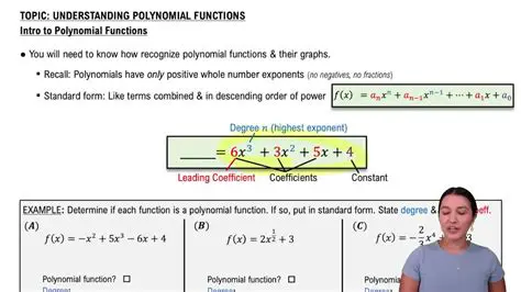 Understanding the Polynomial Function