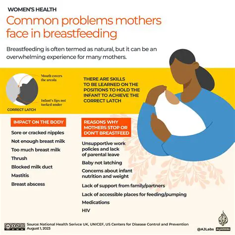 Understanding the Postpartum Period and Its Impact on Breastfeeding