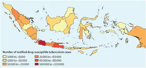 Understanding the Prevalence of Lung Tuberculosis in Indonesia