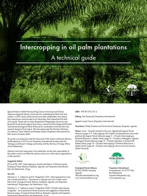 Understanding the Problem of Weeds in Oil Palm Plantations